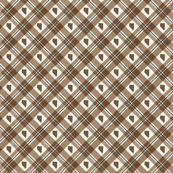 Scrapbook Customs NEVADA NATURAL CRAFT MAP 12”X12” Scrapbook Paper