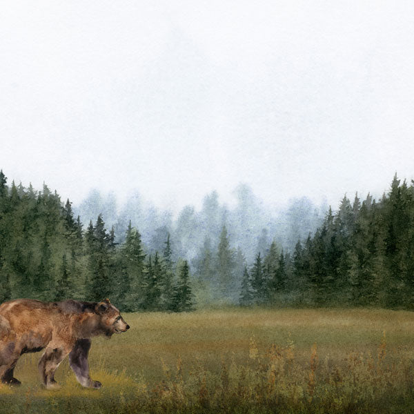 Scrapbook Customs BEAR DS Watercolor 12"X12" Scrapbook Paper