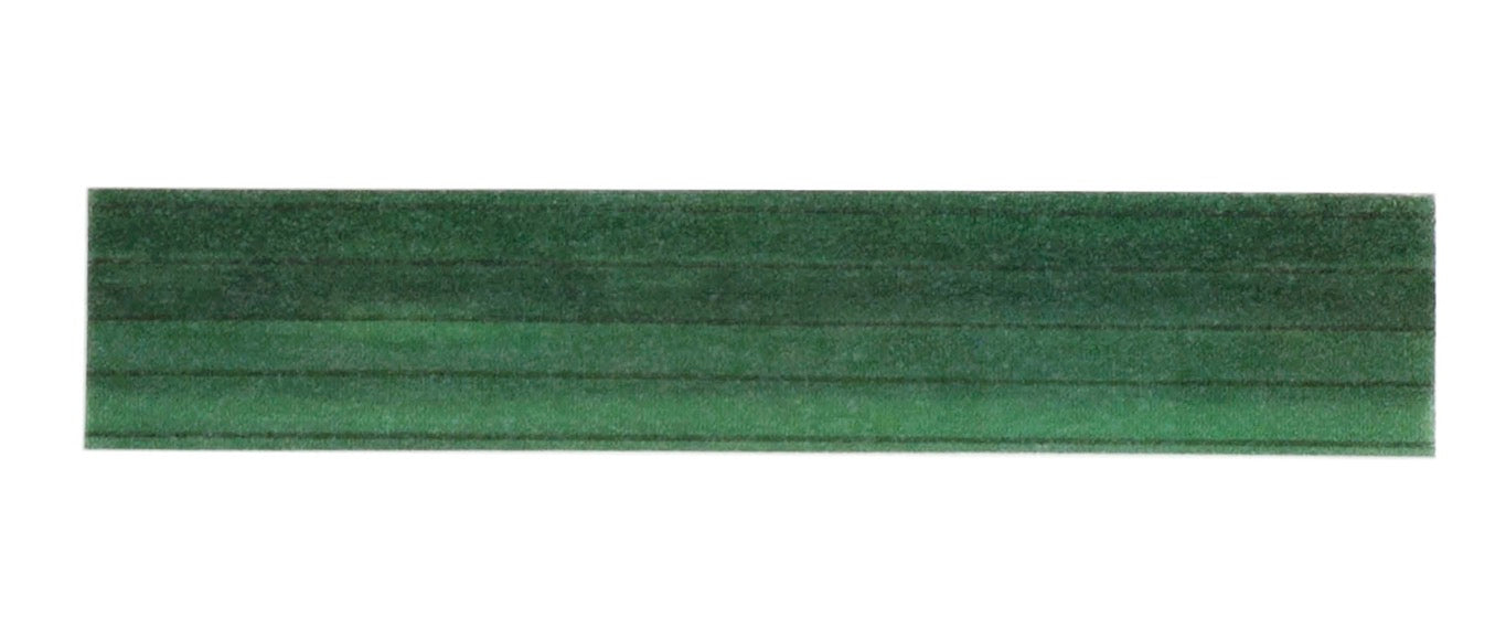Carta Bella Harvest EMERALD WOODGRAIN Washi Tape