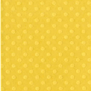12X12 Bazzill DOT Cardstock