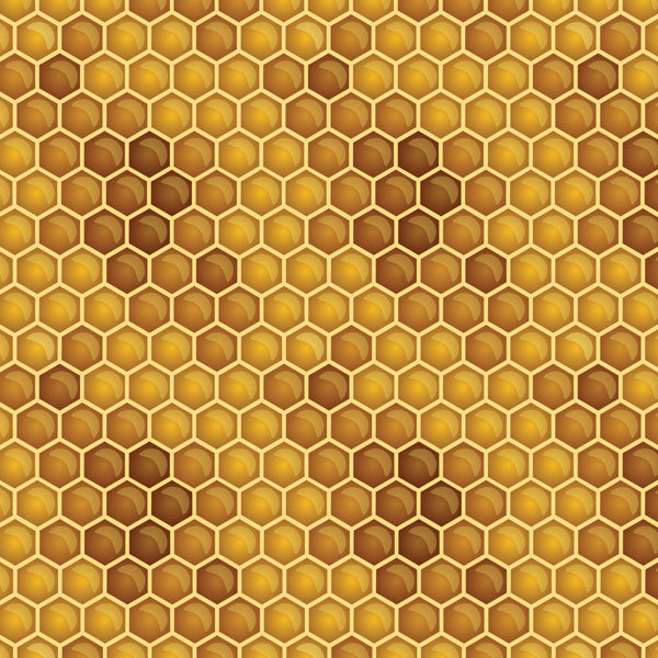 HONEYCOMB 12"X12" Scrapbook Paper