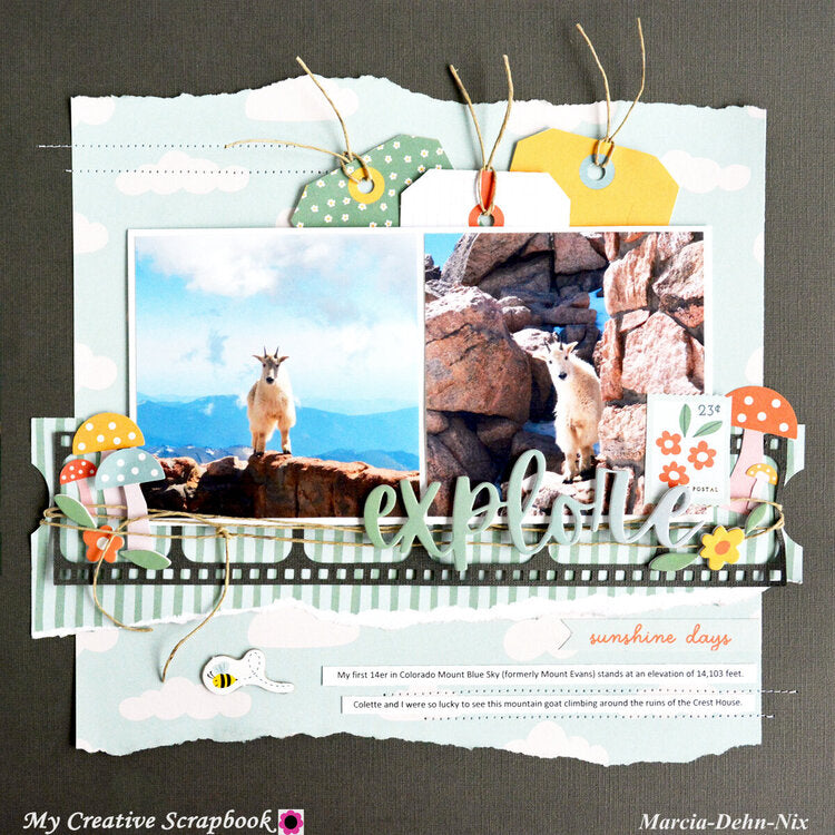 Pebbles SUNNY BLOOMS Icon Ephemera 70pc