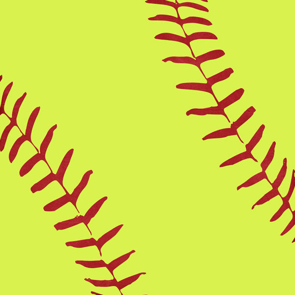 SOFTBALL LIFE 5a 12X12 Paper Scrapbook Customs Sports Sheet