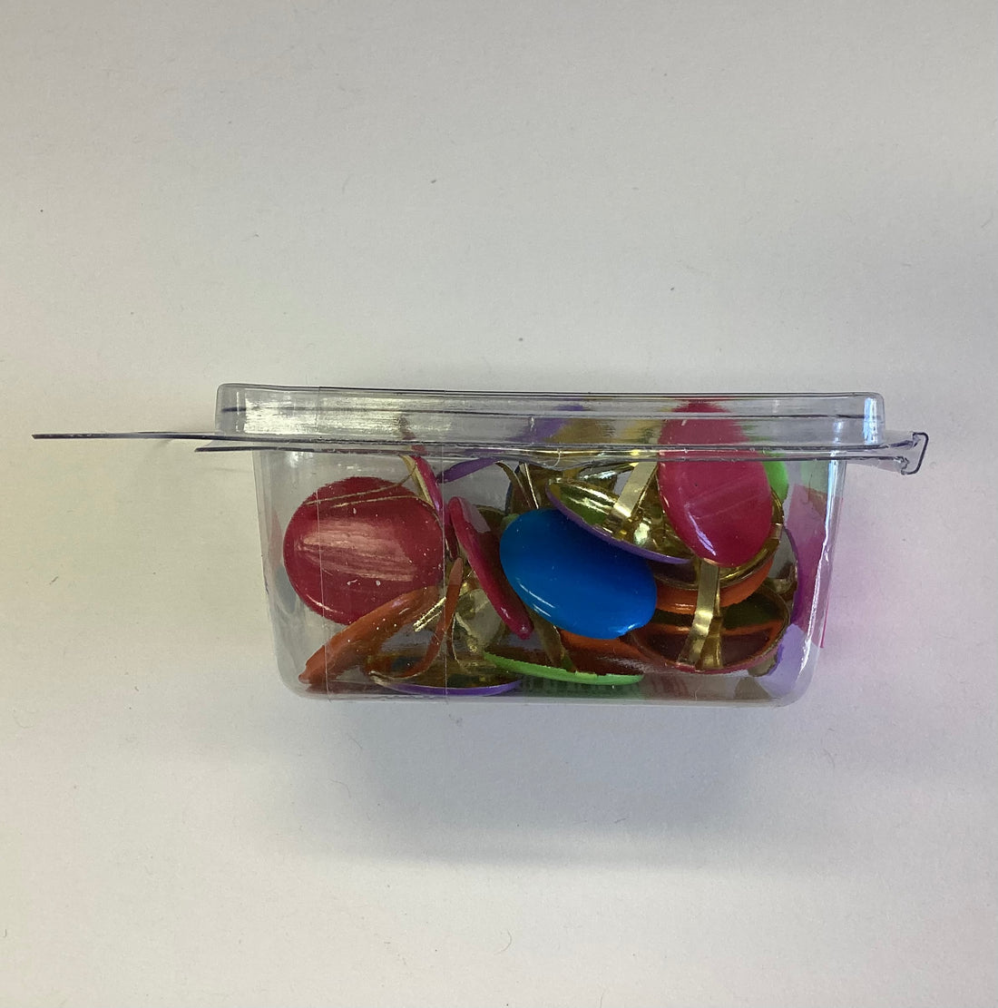 Creative Impressions TROPICAL LARGE ROUND FASTENERS Brads 25pc