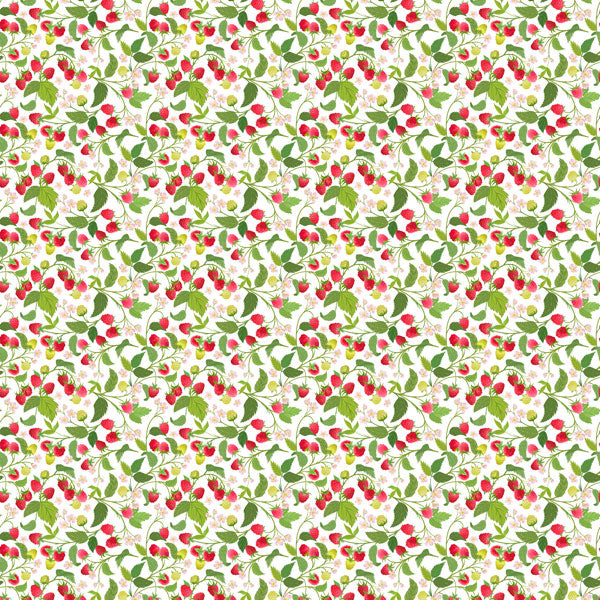 Scrapbook Customs RASPBERRIES GINGHAM 12"X12" Scrapbook Paper