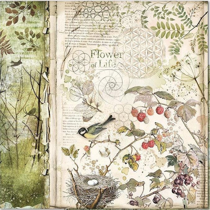 Stamperia FOREST MAXI PAD 12"X12" Scrapbooking Paper Pack