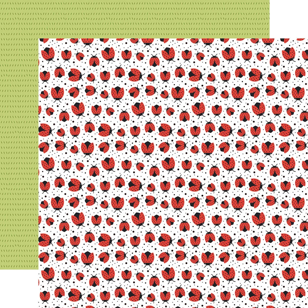 Echo Park Little Things LOVELY LADYBUGS 12”X12” Scrapbook Paper