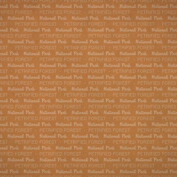 Scrapbook Customs NATIONAL PARK MAP AND WORDS 12"X12" Scrapbook Paper