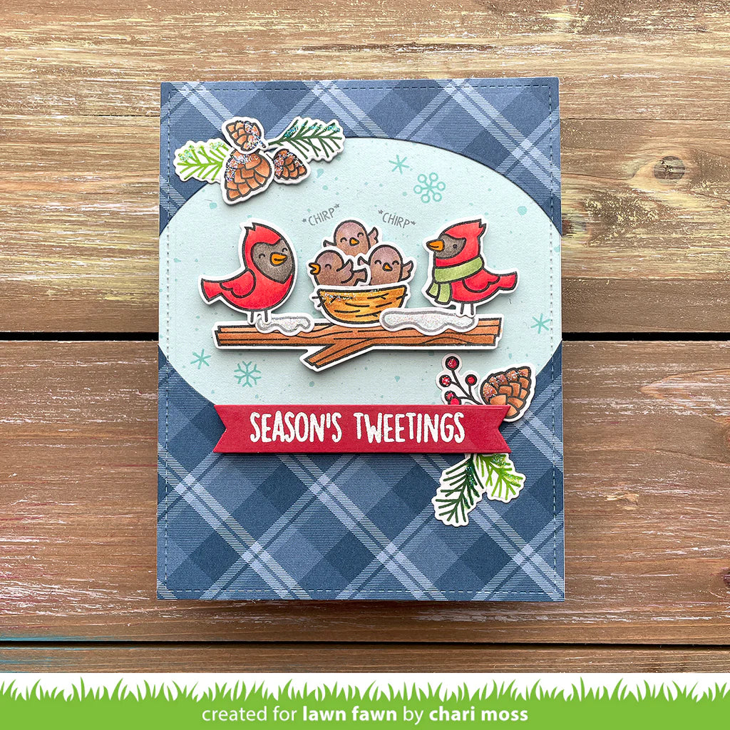 Lawn Fawn WINTER BIRDS Stamps & Die SET