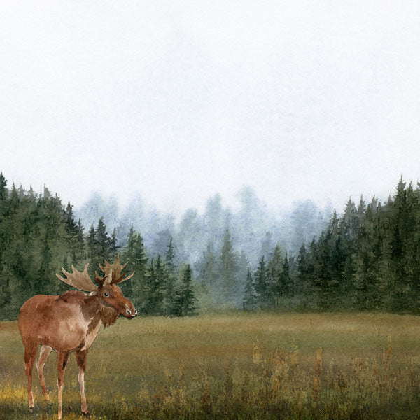 MOOSE DS Watercolor 12"X12" Scrapbook Paper