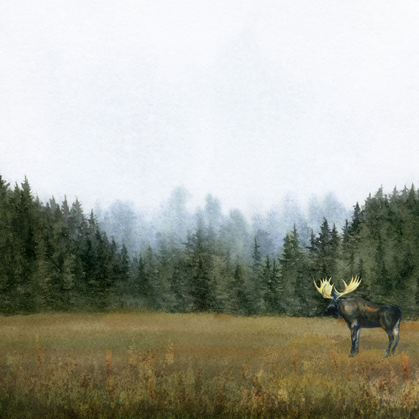 MOOSE DS Watercolor 12"X12" Scrapbook Paper