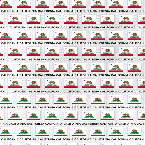 CALIFORNIA ADVENTURE FLAG 12"X12" Scrapbook Paper