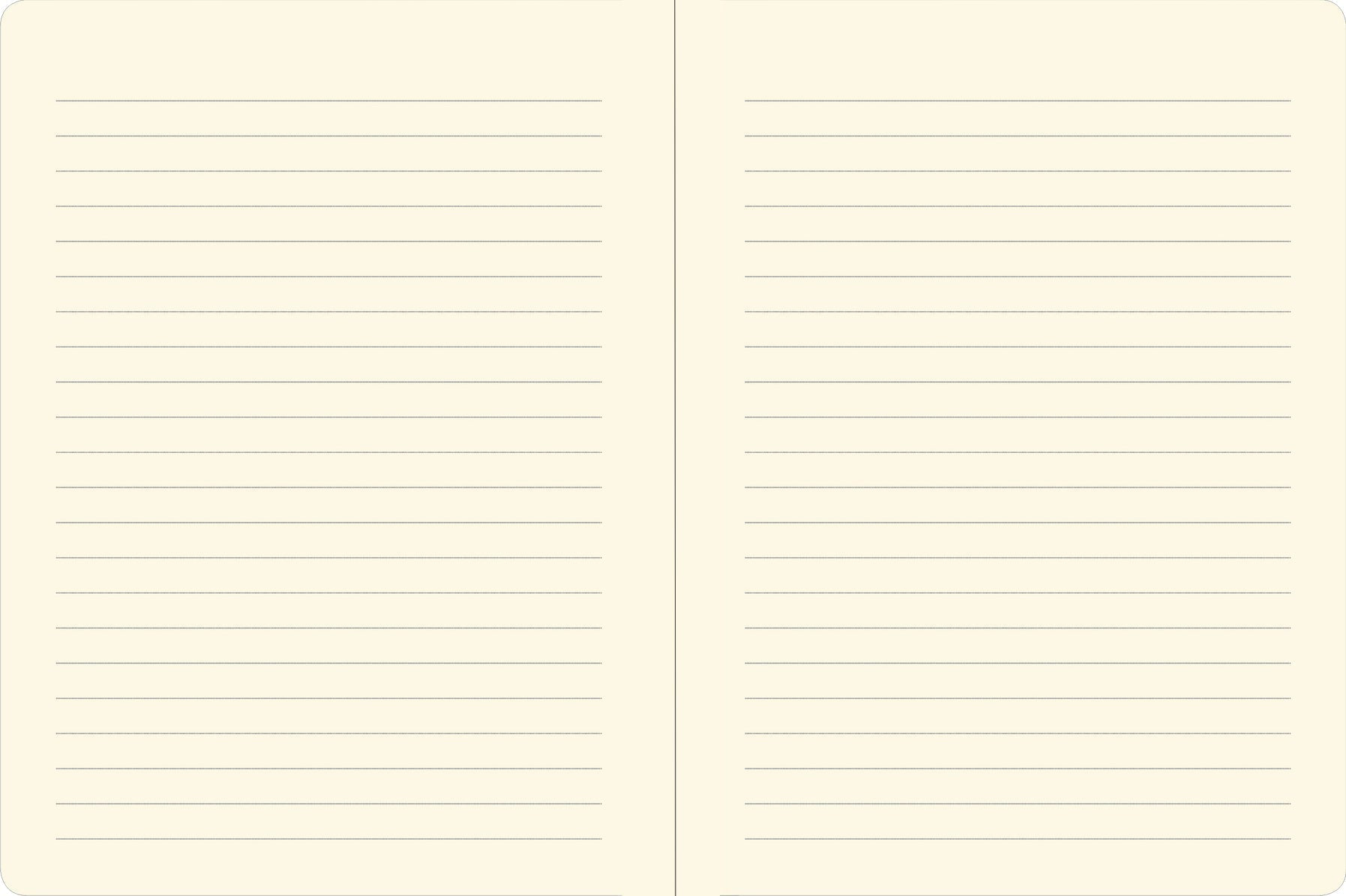 Peter Pauper SEA TURTLES Journal Notebook