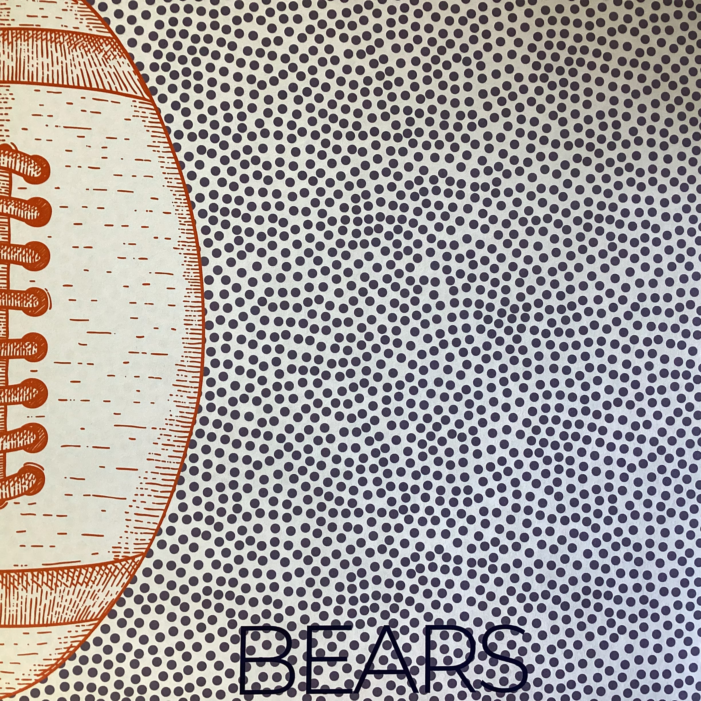 BEARS FAN FOOTBALL KIT 12"X12" Scrapbook Paper 8 Sheets