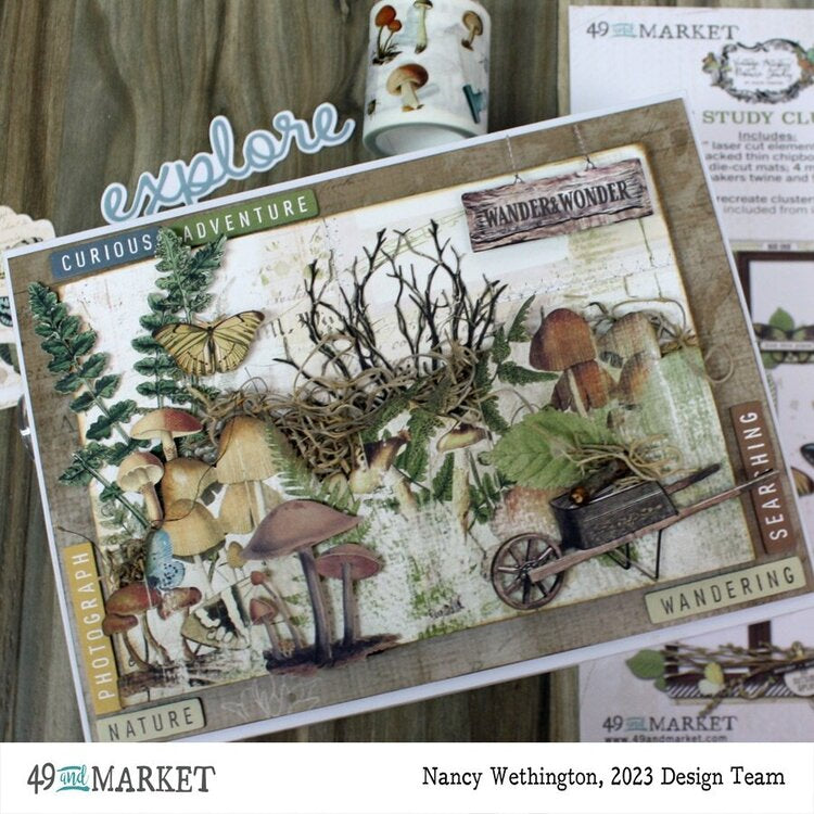 49 and Market Vintage Artistry NATURE STUDY SPECIMEN ACETATE Shapes