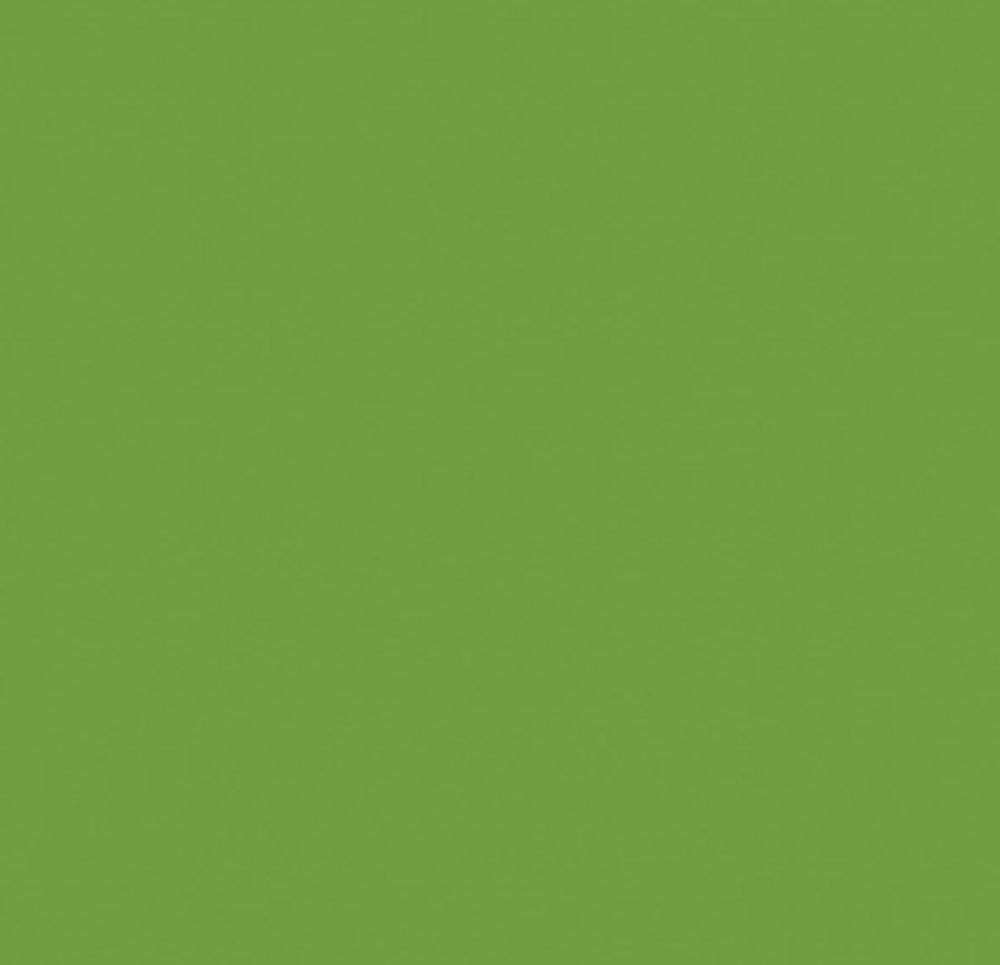 Kaisercraft Cardstock 12"X12" FROG Green Weave