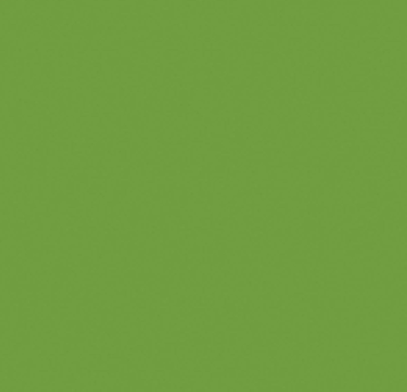 Kaisercraft Cardstock 12"X12" FROG Green Weave