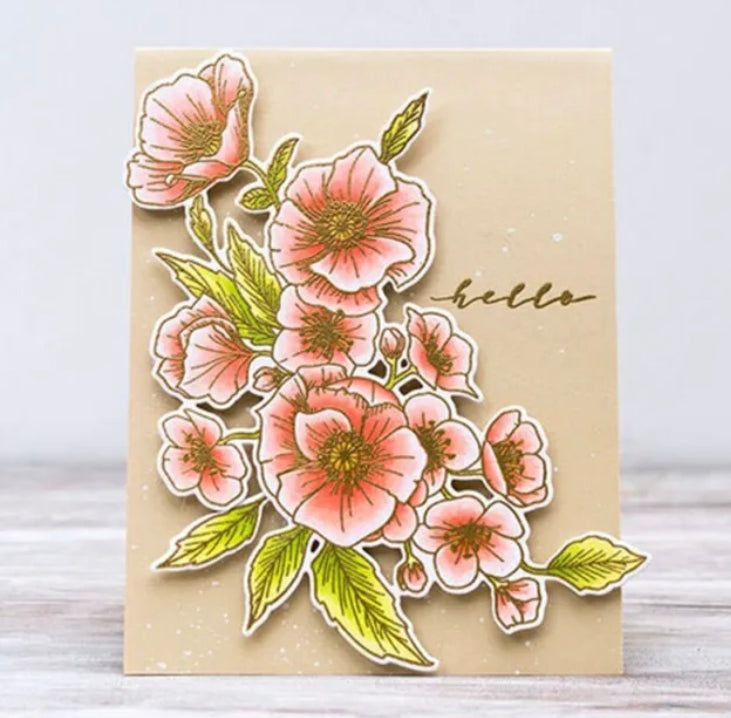 Poppy Flower Greetings Clear Stamp & Die Set 2pc