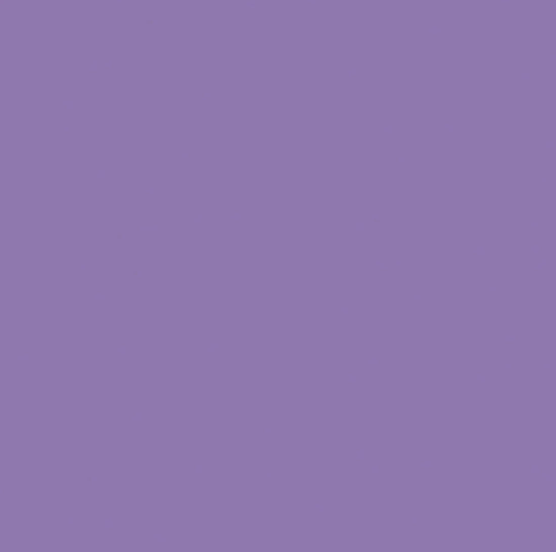 Kaisercraft Cardstock 12"X12" PERIWINKLE Lavender Weave