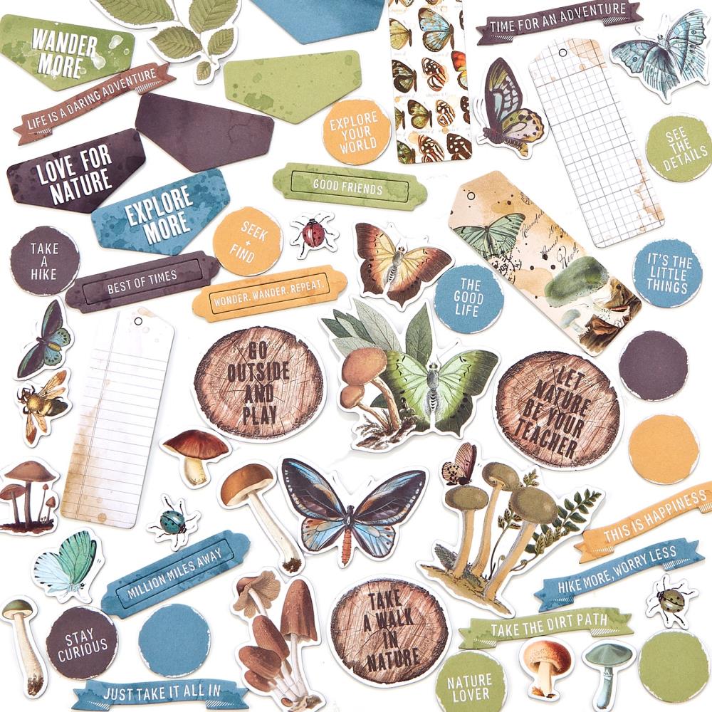 49 and Market Vintage Artistry NATURE STUDY CHIPBOARD SET 61pc