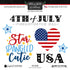 Scrapbook Customs 4th JULY 6X6 STICKERS 6pc