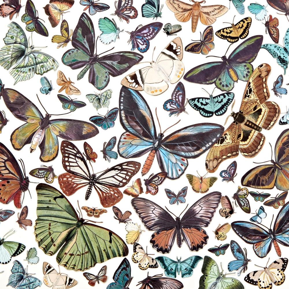 49 and Market Vintage Artistry NATURE STUDY WING ELEMENTS 88pc