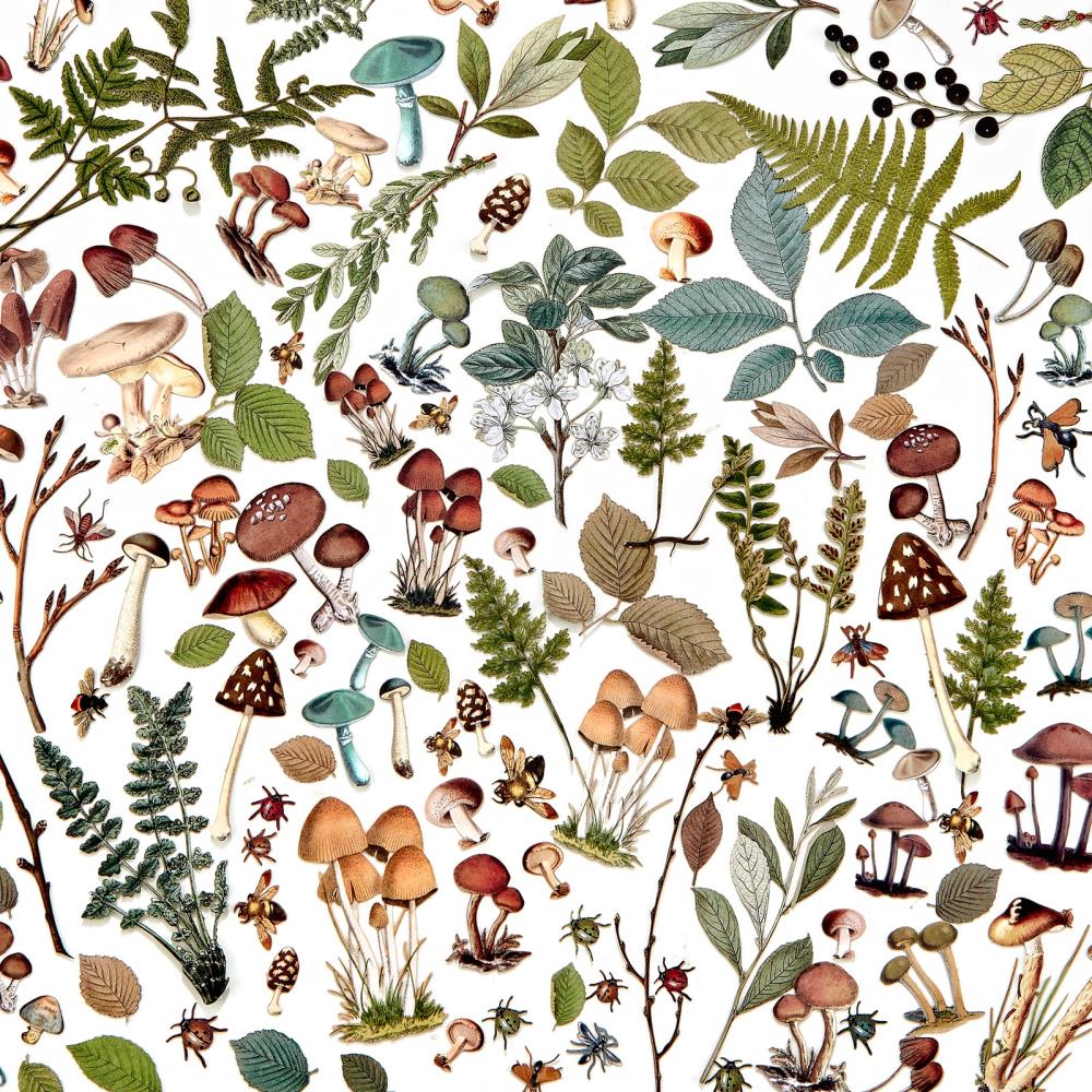 49 and Market Vintage Artistry NATURE STUDY MUSHROOM FOLIAGE ELEMENTS 141pc