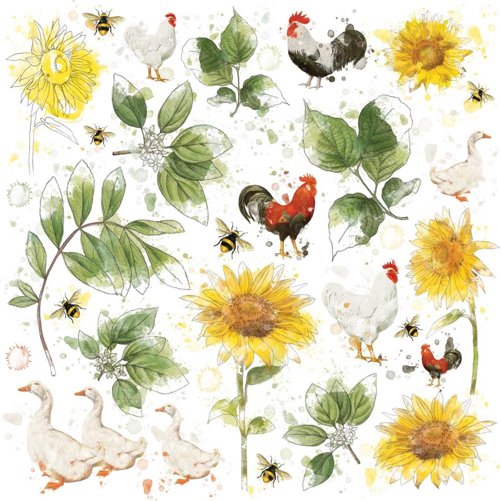 49 and Market Vintage Artistry 12X12 COUNTRYSIDE RUB-ON Transfer Sheet