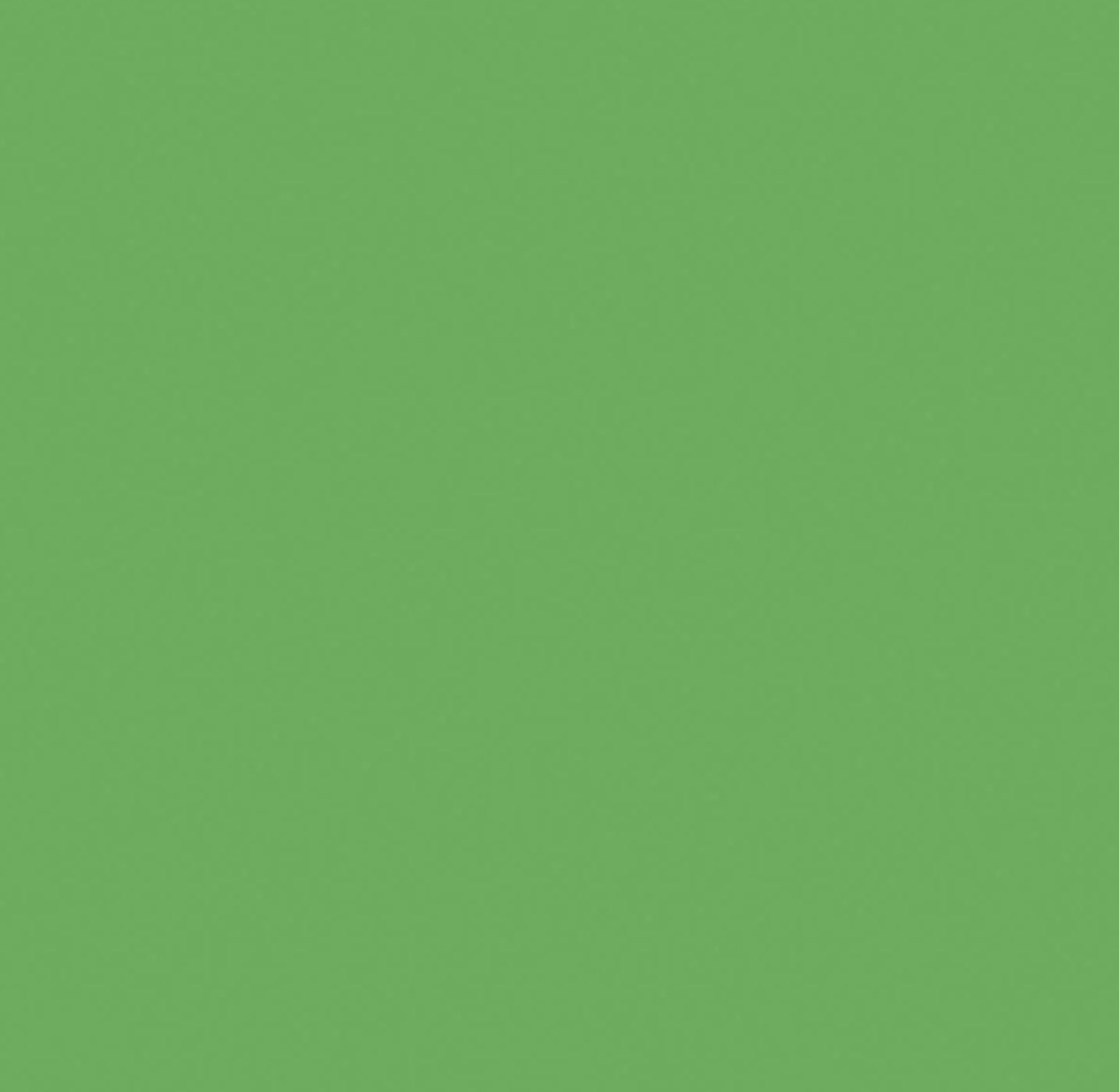 Kaisercraft Cardstock 12"X12" LIME Green Weave
