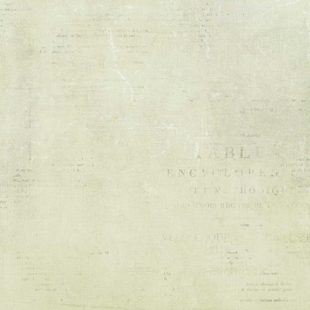 49 and Market ArtOptions AVESTA POSIES 12"X12" Scrapbook Paper