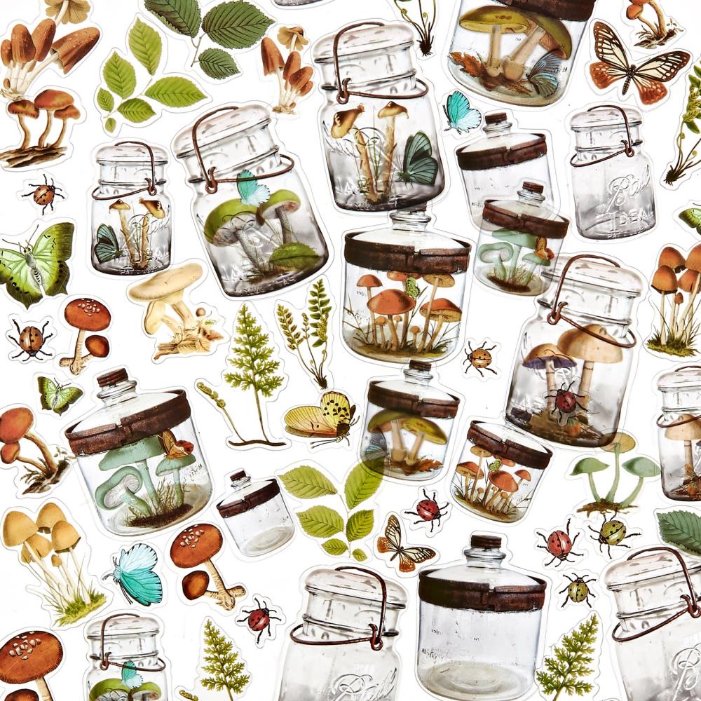 49 and Market Vintage Artistry NATURE STUDY SPECIMEN ACETATE Shapes