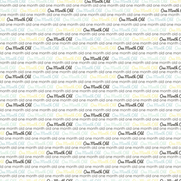 BABY’S FIRST YEAR DS Journal 12X12 Boy Paper Kit Scrapbooksrus