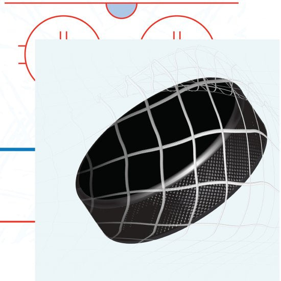 Echo Park Hockey HOCKEY PUCK 12"X12" Paper Scrapbooksrus