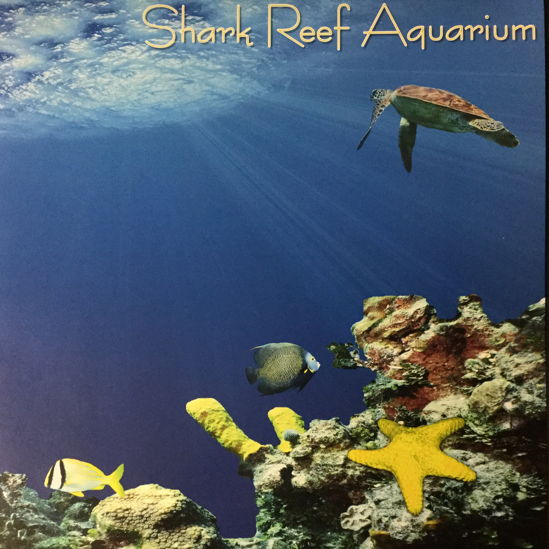 Scrapbooks Customs Barrier Reef SHARK REEF AQUARIUM 12x12” Custom Scrapbook Paper Scrapbooksrus