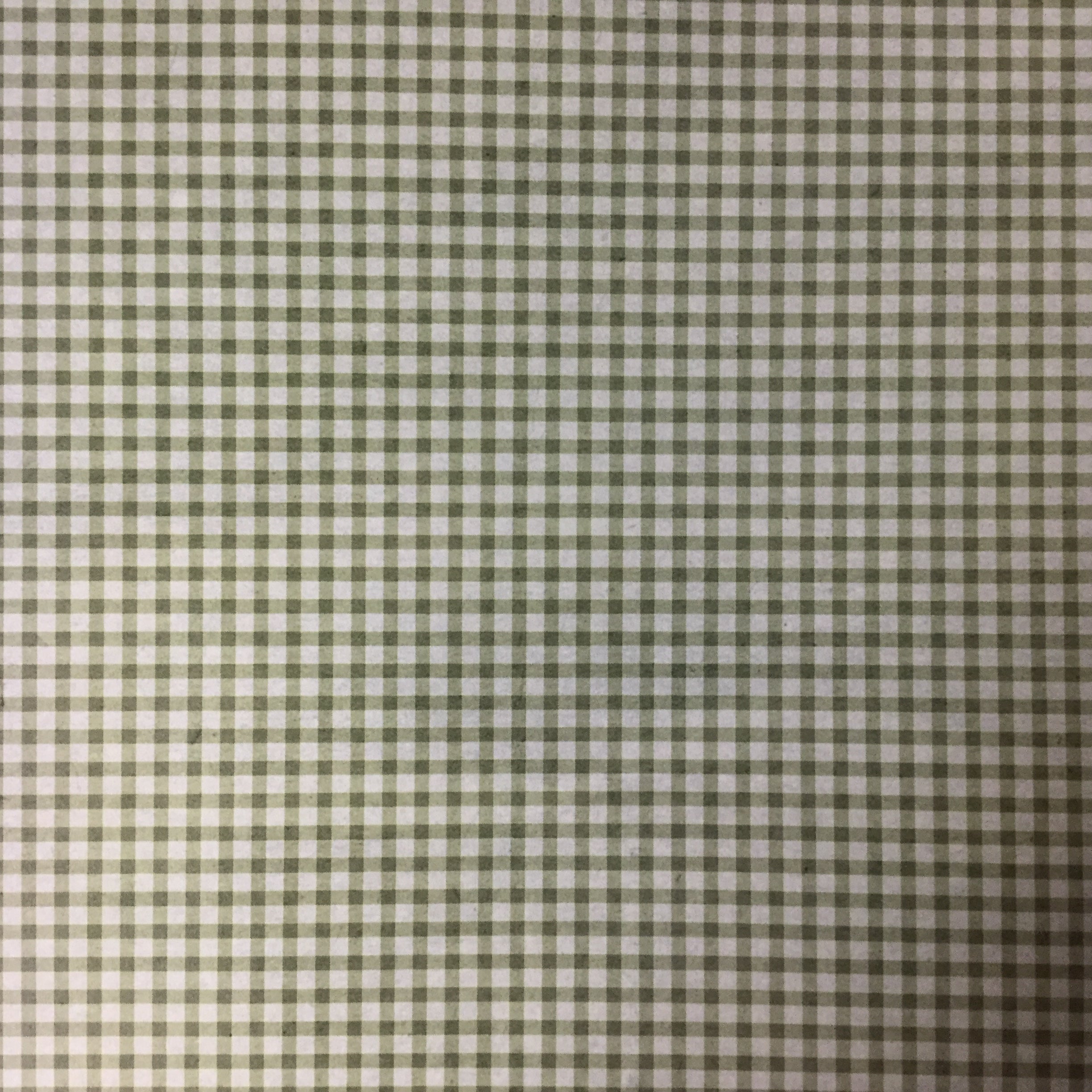 VEGAS WEDDING Outdoor Adventure 12"X12" Scrapbook Paper LV Scrapbooksrus