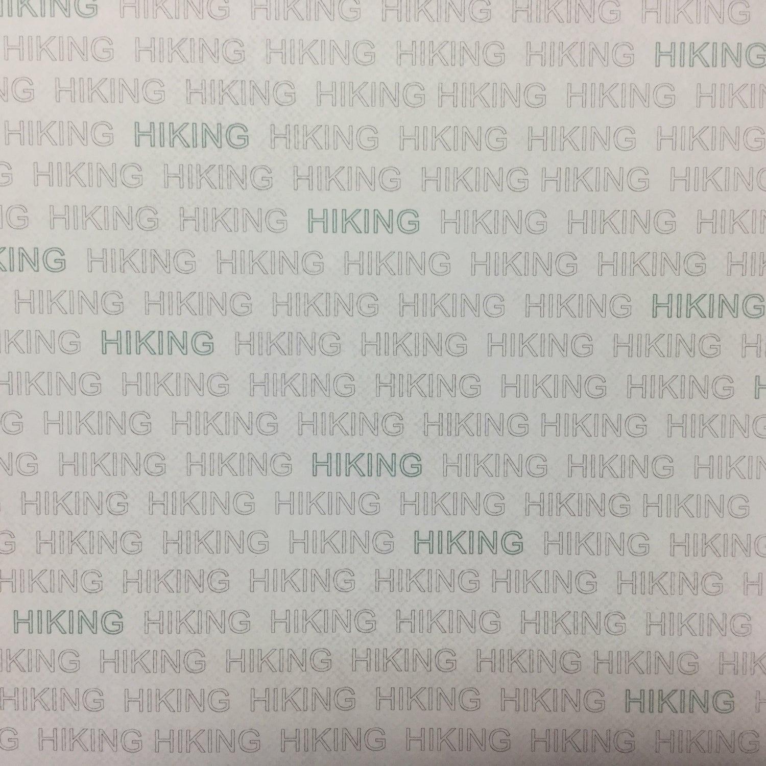 HIKING ADDICT 1 12X12 Scrapbook Paper Scrapbook Customs Scrapbooksrus