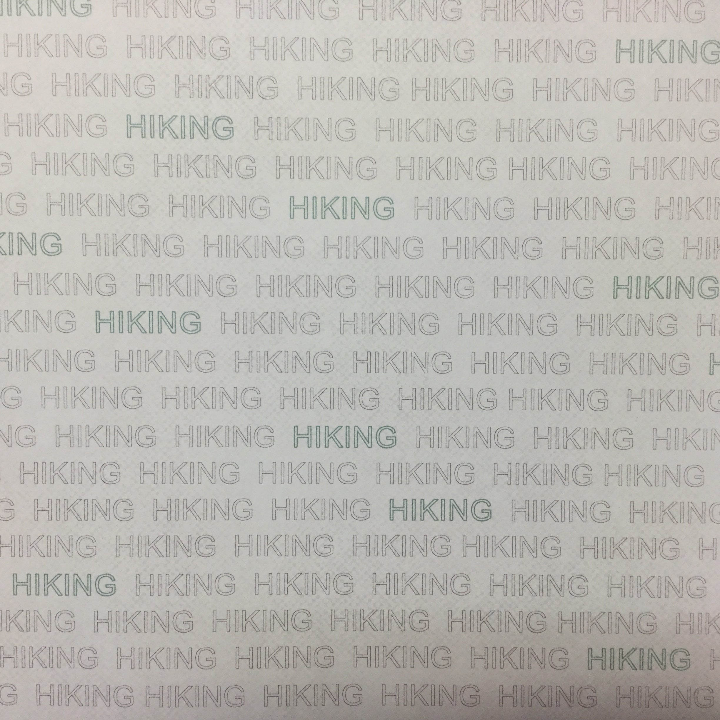 HIKING ADDICT 1 12X12 Scrapbook Paper Scrapbook Customs Scrapbooksrus