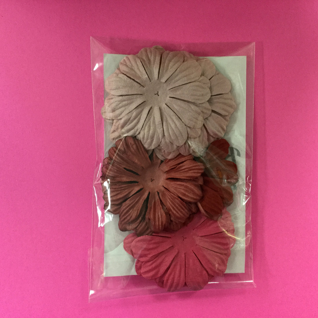 Big Daisies 20pc PINK & MAROON Scrapbooksrus