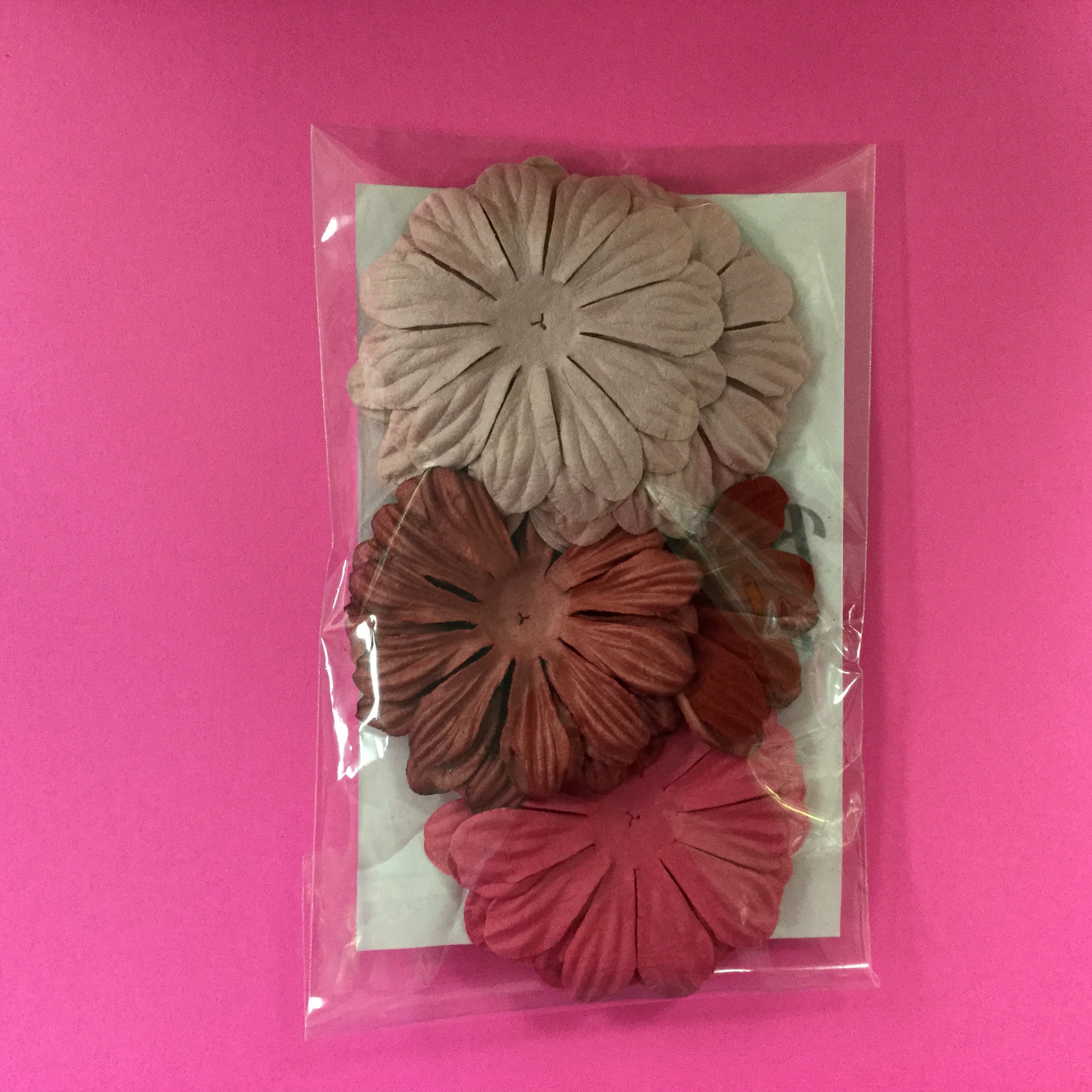 Big Daisies 20pc PINK & MAROON Scrapbooksrus