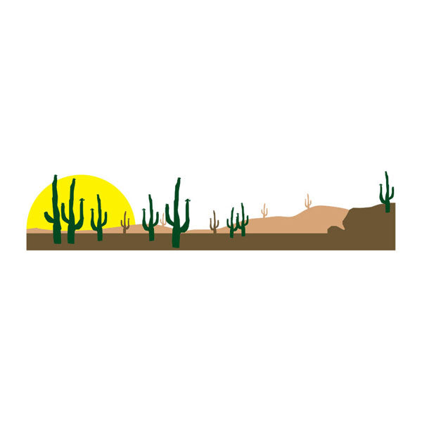 DESERT BORDER