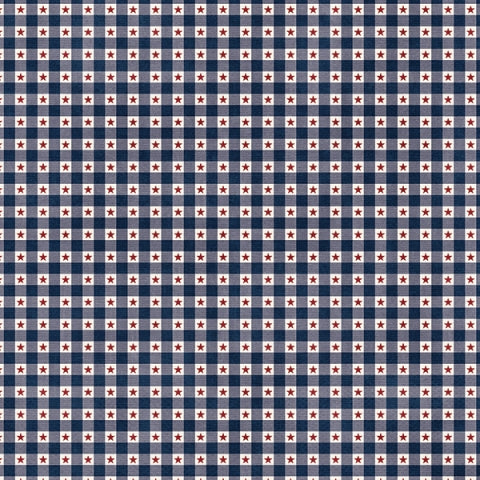 Simple Stories Hometown USA 3x4 & 4x6 ELEMENTS 12x12 Scrapbook Paper Scrapbooksrus