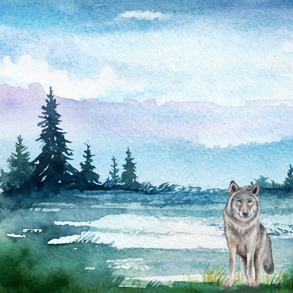 Scrapbook Customs WOLF DS Watercolor 12"X12" Paper Scrapbooksrus