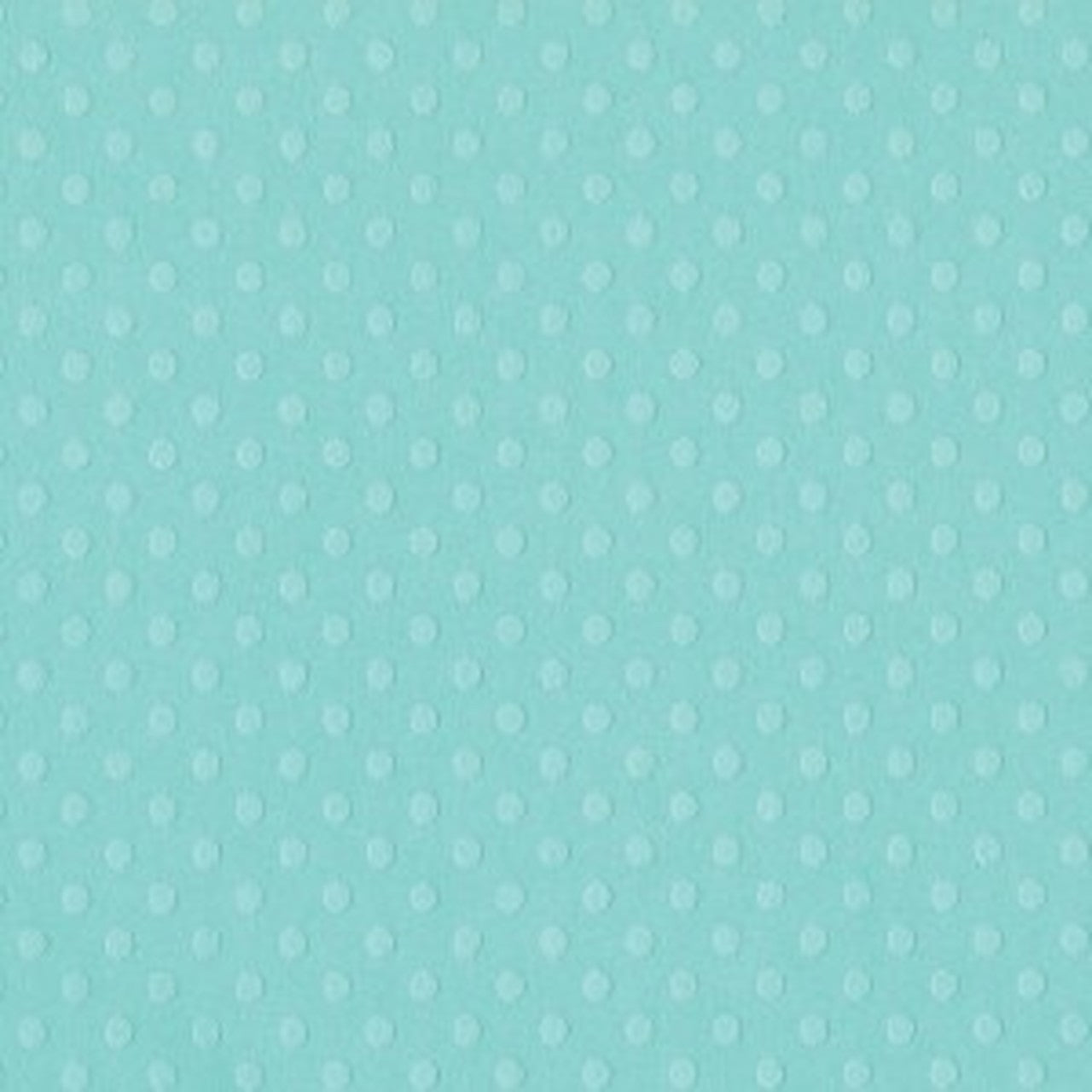 12X12 Bazzill DOT Cardstock