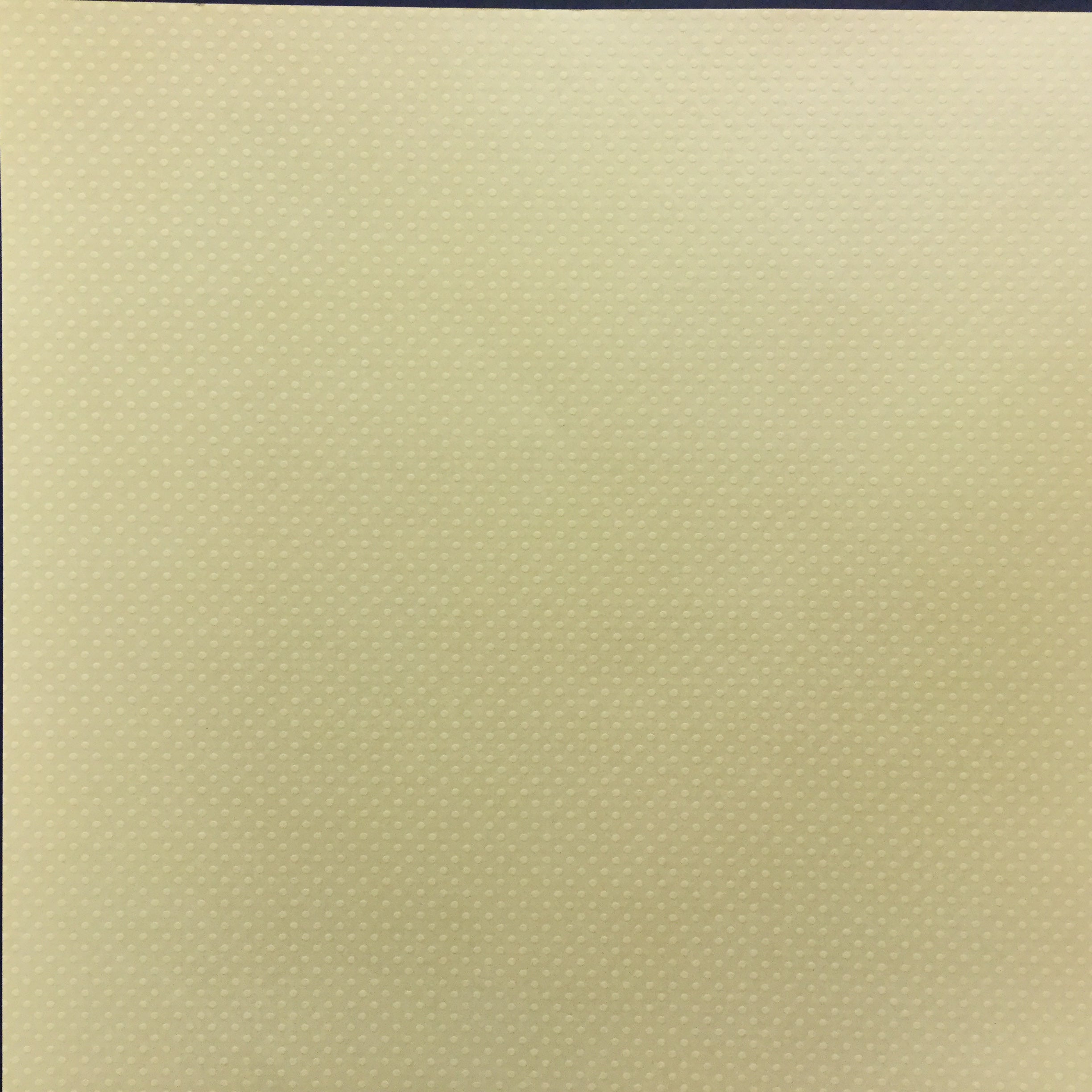 GRAND CANYON 12"X12" Travel Scrapbook Kit Scrapbooksrus Scrapbooksrus