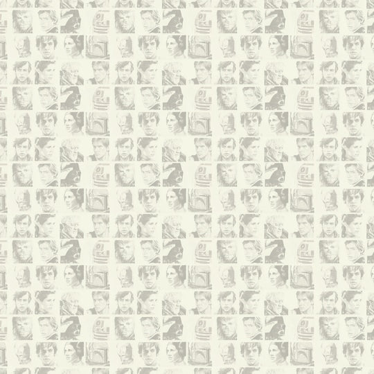 Cricut STAR WARS Deluxe 12”x12” Paper Pad Scrapbooksrus