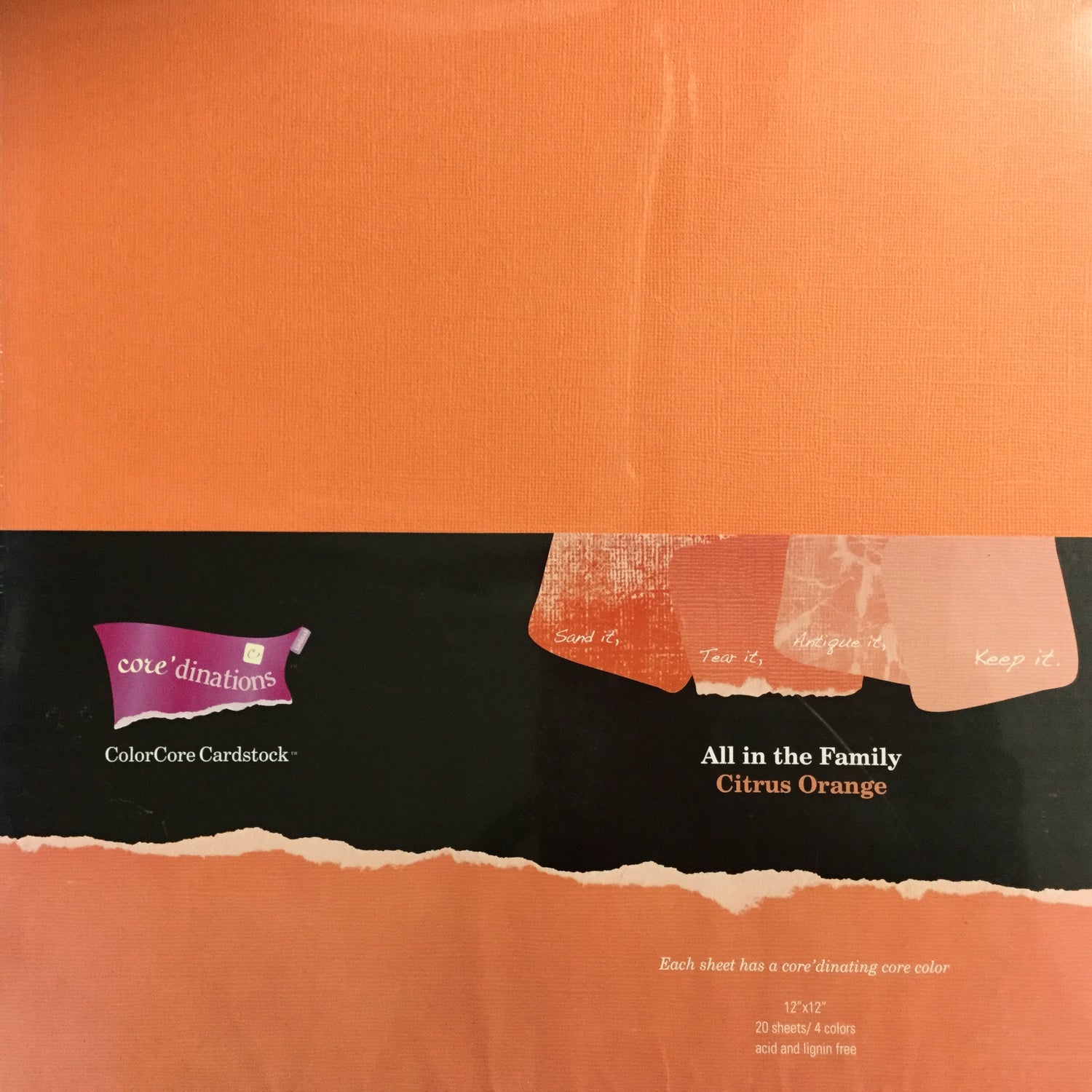 Core’dinations All In The Family LUSCIOUS LILACS 12x12 Paper Pack Scrapbooksrus