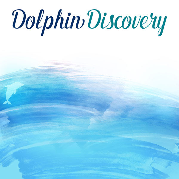 DOLPHIN DISCOVERY Double Sided 12X12 Paper Scrapbook Customs Scrapbooksrus
