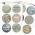 Amy Design AMAZING OWLS Text Designs Scrapbooksrus