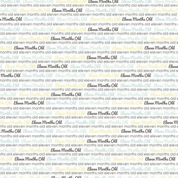 BABY’S FIRST YEAR DS Journal 12X12 Boy Paper Kit Scrapbooksrus