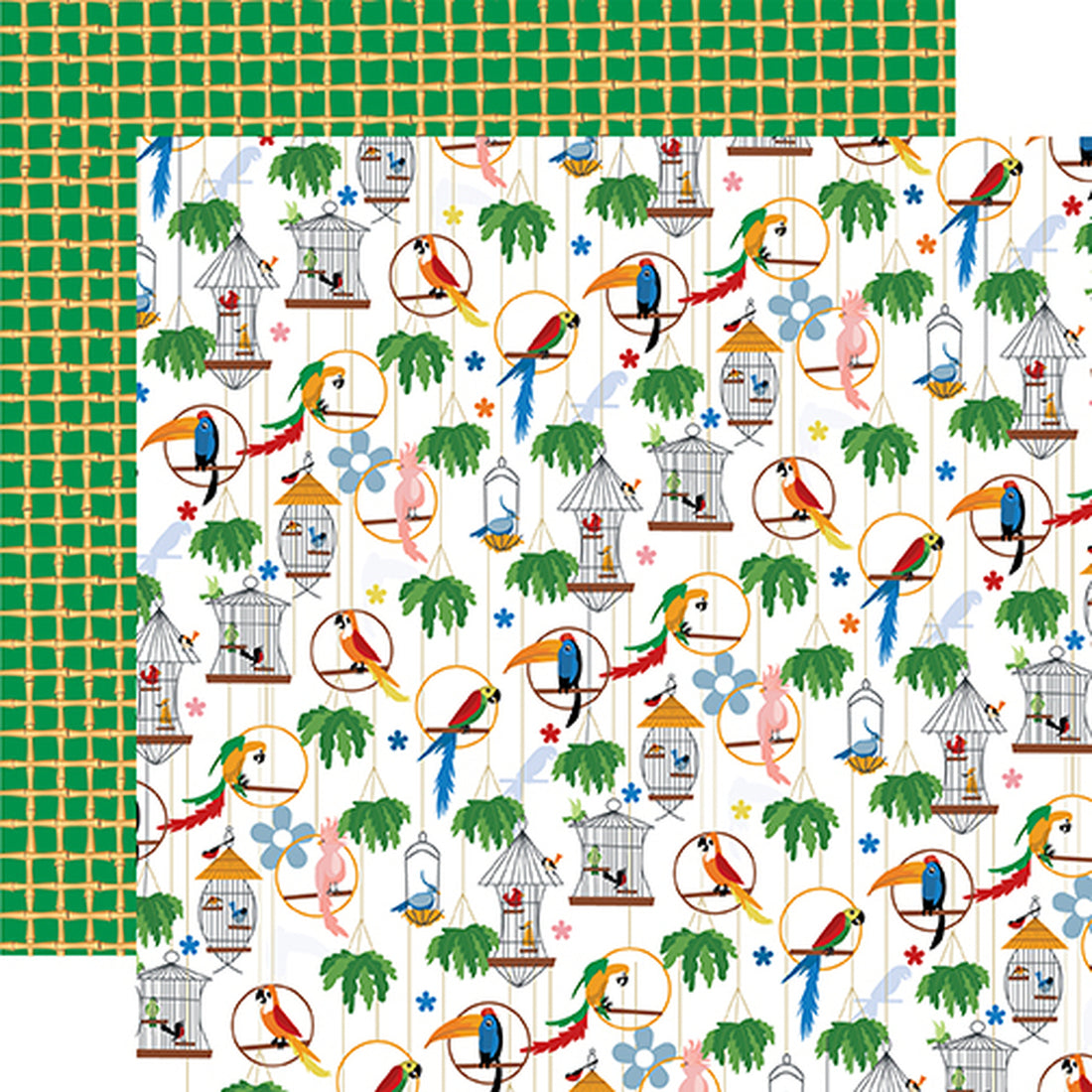 Carta Bella Zoo Adventure AVIARY 12"x12" Paper Scrapbooksrus